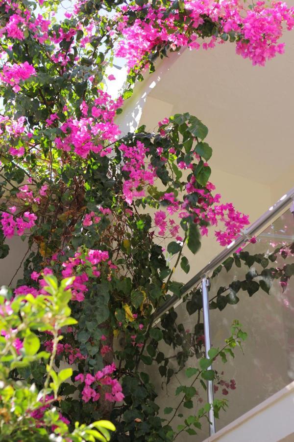 Acelya Otel Bodrum 외부 사진